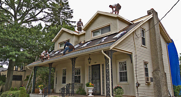 Best Flat Roof Repair Services  in Worthgton, IN