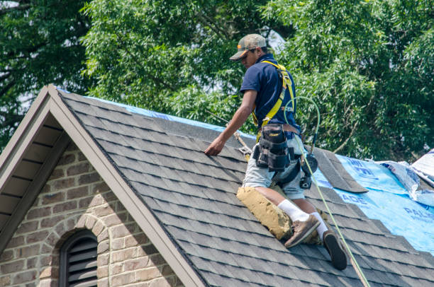 Best Roof Leak Repair  in Worthgton, IN